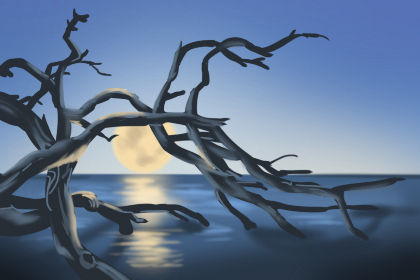 生肖解说 生肖解说