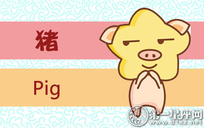属猪 属猪