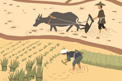 生肖解说 生肖解说