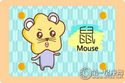 鼠 鼠