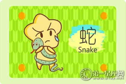 蛇 蛇