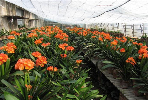 2025年7月21号农历六月廿七日,黄历忌宜财神方位查询