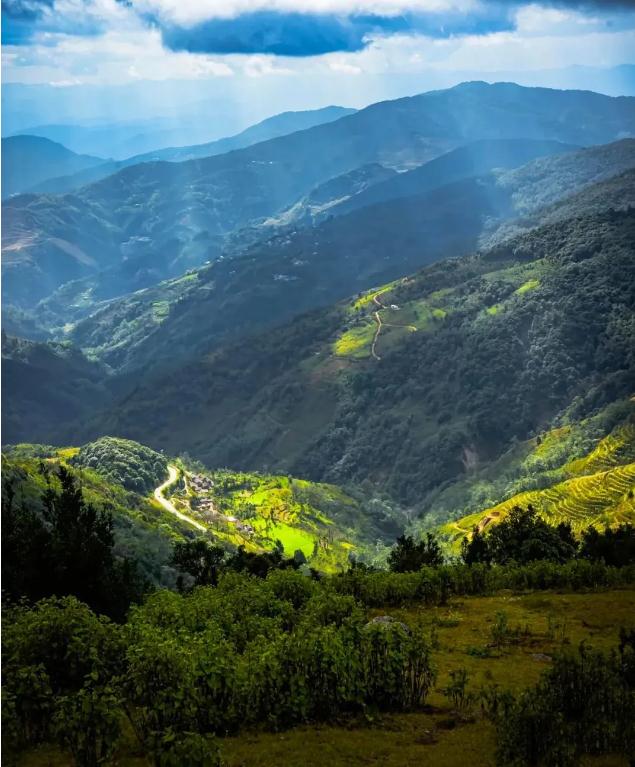 2025年8月2号农历闰六月初九日,黄历忌宜财神方位查询