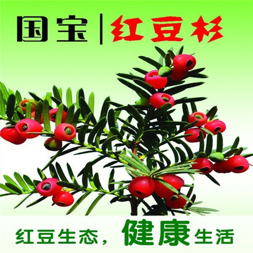 2025年8月6号农历闰六月十三日,黄历忌宜财神方位查询