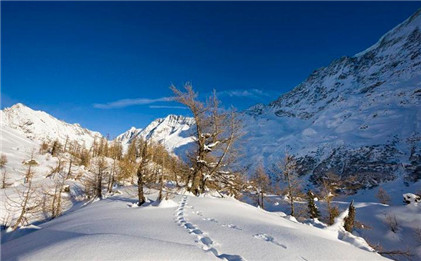 2025年8月7号农历闰六月十四日,黄历忌宜财神方位查询