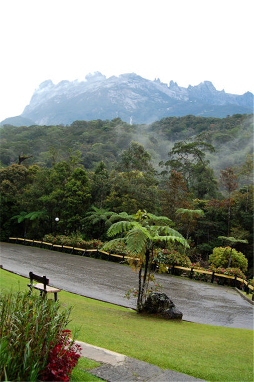 2025年8月8号农历闰六月十五日,黄历忌宜财神方位查询