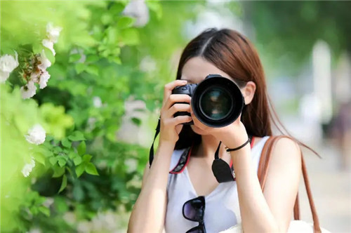 2026年什么属相学习运最旺