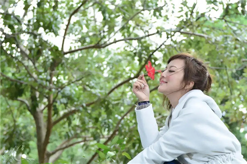 2026年正缘红鸾星动的生肖