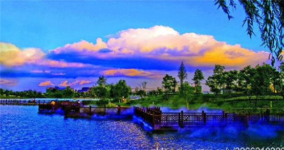 2026马年运势不好的生肖