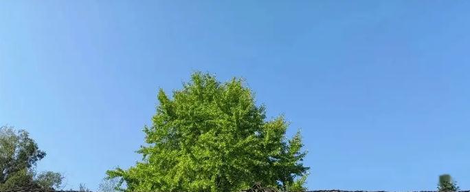 2025年9月1号农历七月初十日,黄历忌宜财神方位查询