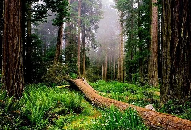 2025年9月8号农历七月十七日,黄历忌宜财神方位查询