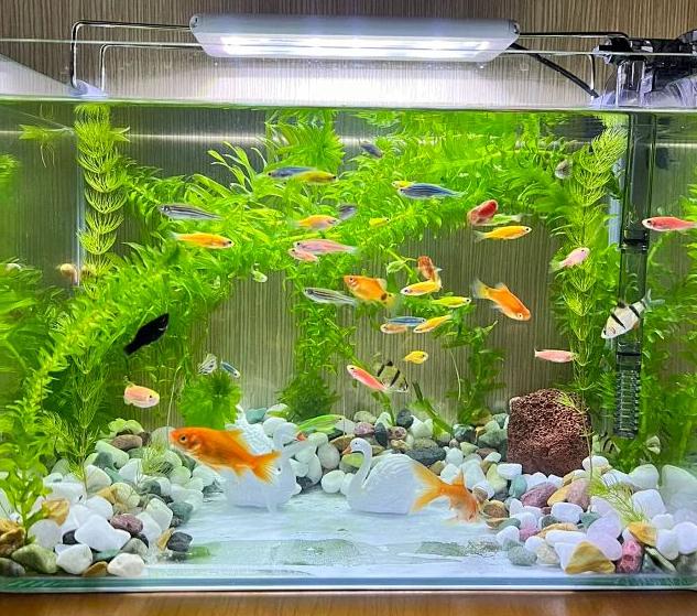 2025年9月23号农历八月初二日,黄历忌宜财神方位查询