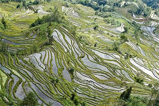 2025年10月6号农历八月十五日,黄历忌宜财神方位查询