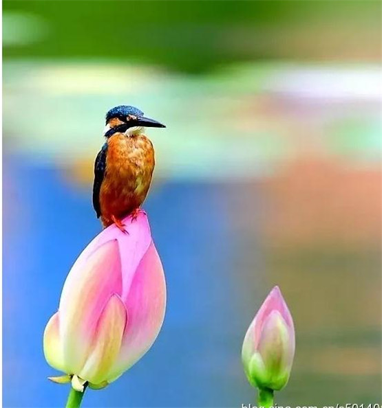 2025年10月21号农历九月初一日,黄历忌宜财神方位查询