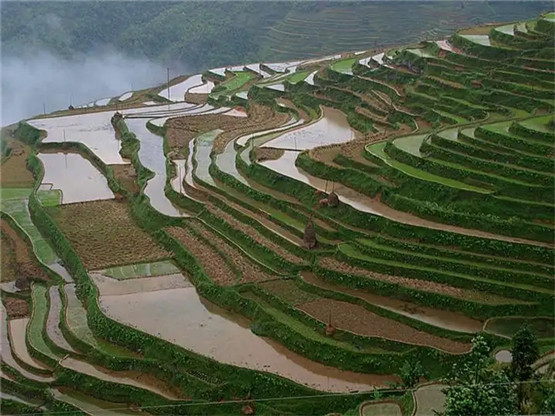 2025年10月30号农历九月初十日,黄历忌宜财神方位查询