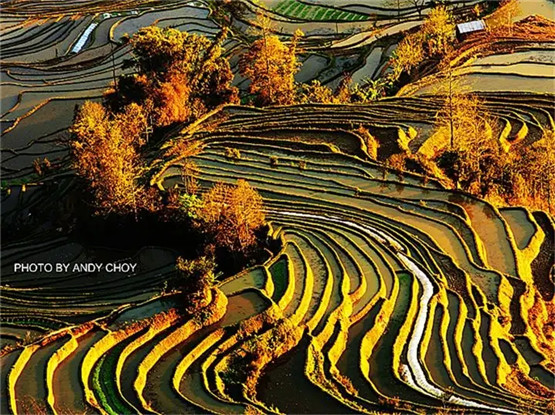 2025年11月3号农历九月十四日,黄历忌宜财神方位查询