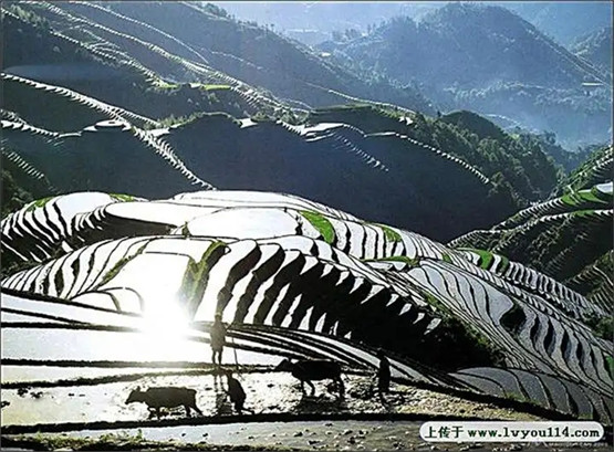 2025年11月5号农历九月十六日,黄历忌宜财神方位查询