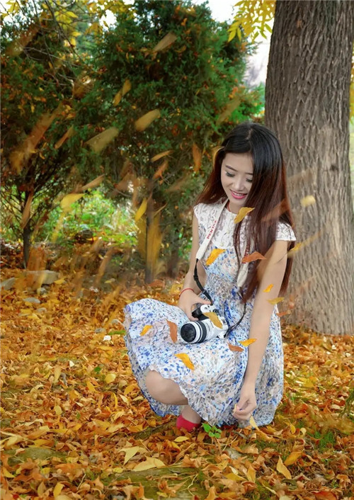 生肖属鼠的人逢马年2026运势如何