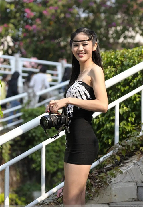 2026 年生肖蛇全年运势