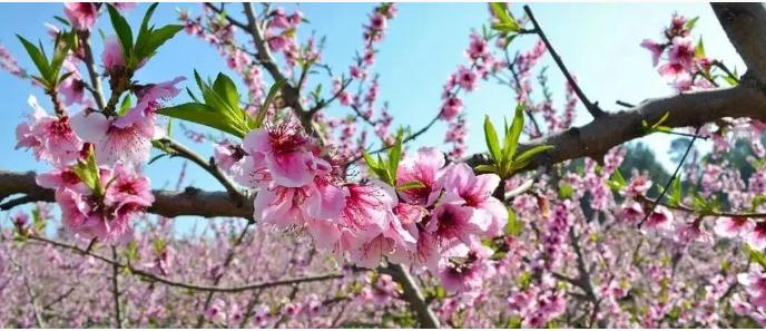 2025年11月17号农历九月廿八日,黄历忌宜财神方位查询