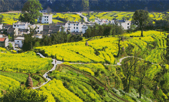 2026年会披麻戴孝的生肖