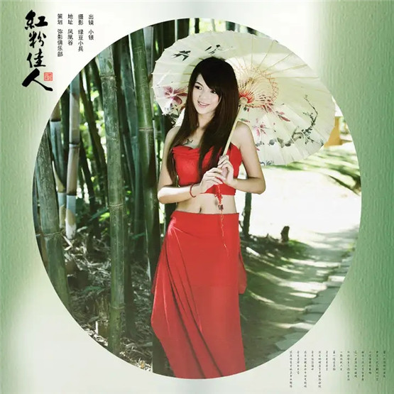 生肖属虎2026年运势大揭秘