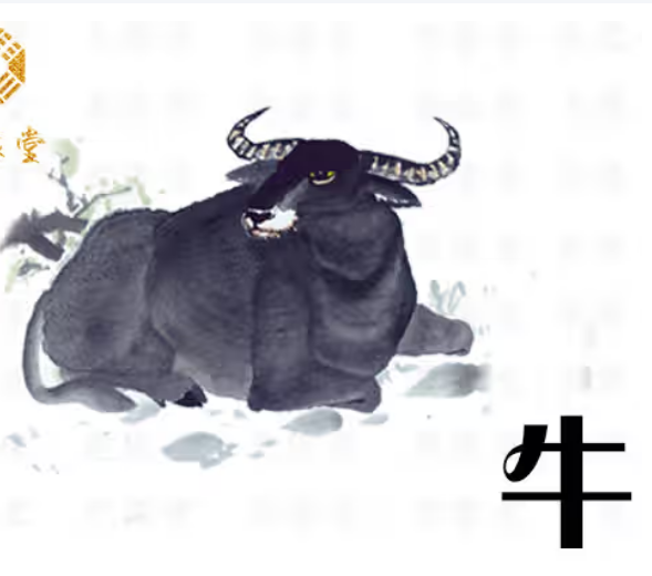 两个属牛人在一起合不合财