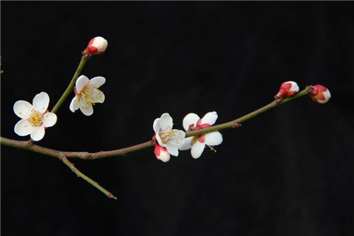 2025年12月22号农历十一月初三日,黄历忌宜财神方位查询