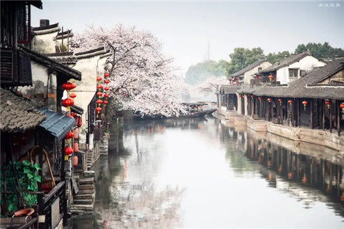 2025年12月24号农历十一月初日,黄历忌宜财神方位查询