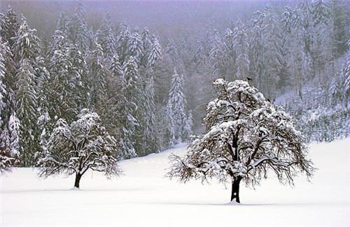 2026年1月4号农历十一月十六日,黄历忌宜财神方位查询