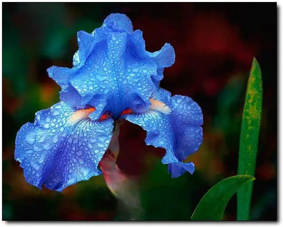 2026年1月11号农历十一月廿三日,黄历忌宜财神方位查询