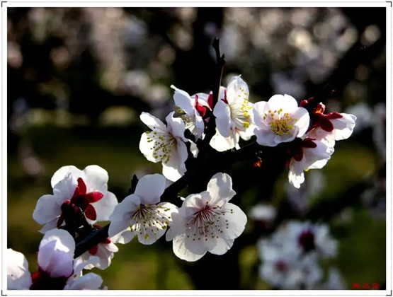 2026年1月13号农历十一月廿五日,黄历忌宜财神方位查询