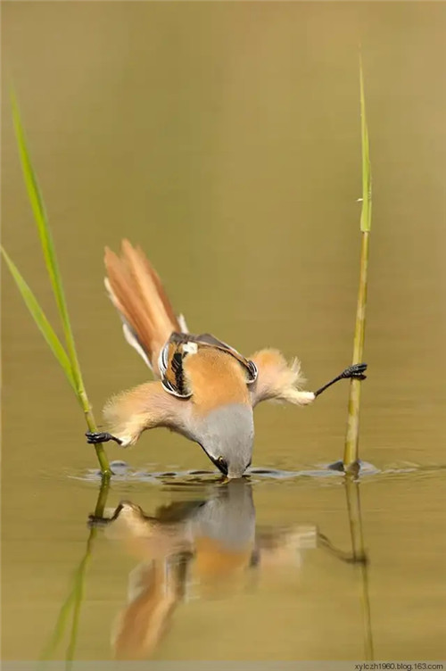2026年1月14号农历十一月廿六日,黄历忌宜财神方位查询