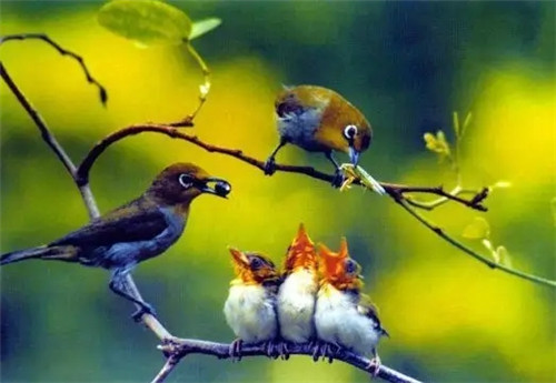 2026年1月23号农历十二月初五日,黄历忌宜财神方位查询