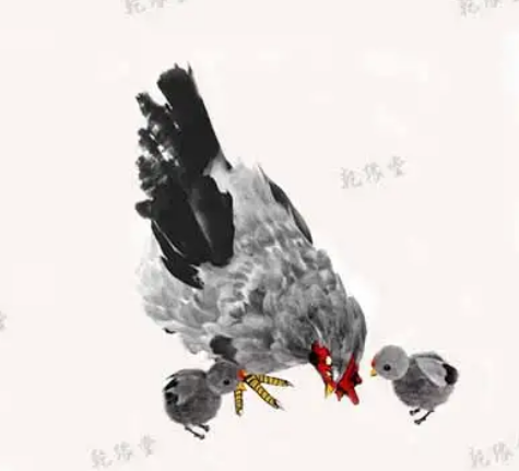 属鸡的最佳配偶是哪一种生肖呢？