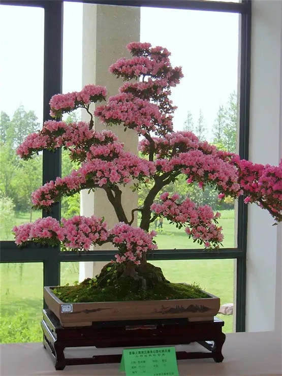 2026年2月7号农历十二月二十日,黄历忌宜财神方位查询