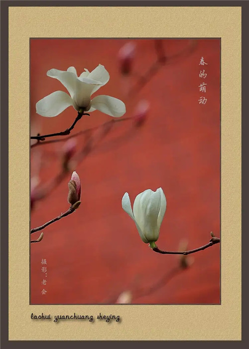 2026年2月25号农历正月初九日,黄历忌宜财神方位查询