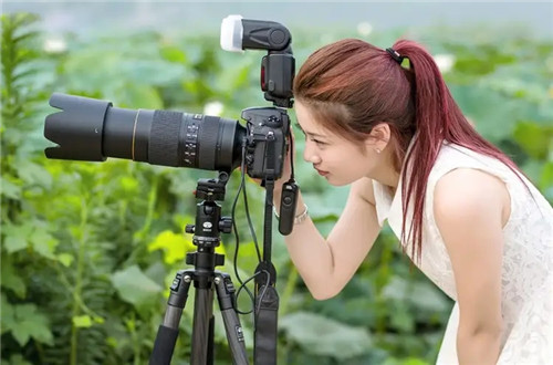 2026十二生肖财运爆发的秘密