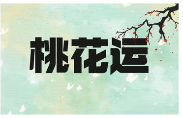 2026年桃花运最旺生肖第一名