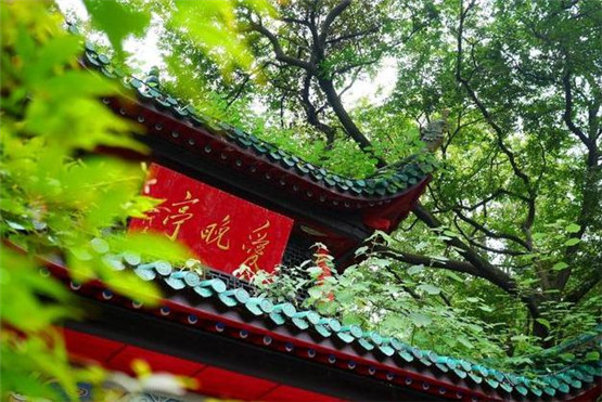本命年后面一年会顺利会转运吗